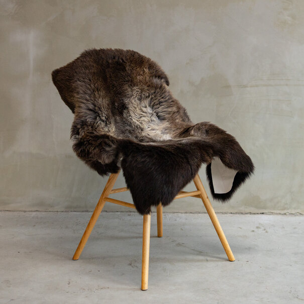 Van Buren seit 1861 Einzigartig fotografiertes Blauer Texeler Schaffell ca. 104x72cm - SVV-629