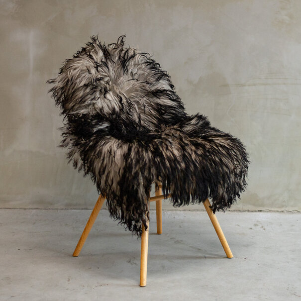 Van Buren seit 1861 Einzigartig fotografiertes lockiges Bergschaffell Grau ca. 114x70cm - SVV-610