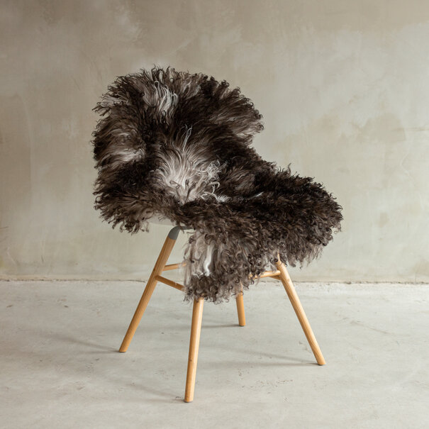 Van Buren seit 1861 Einzigartig fotografiertes Locken-/Bergschaf Mélierte Schaffell - ca. 107x63cm - SVV-665