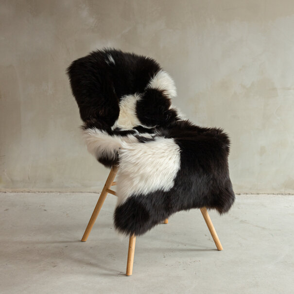 Van Buren seit 1861 Einzigartig fotografiertes Texeler Geflecktes Schaffell XXL - ca. 127x65cm - SVV-669