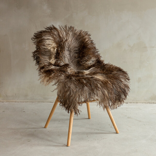 Van Buren seit 1861 Einzigartig fotografiertes Locken-/Bergschaf Mélierte Schaffell - ca. 102x62cm - SVV-642