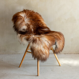 Unikat isländisches Schaffell Braun Bunt - SVV-685