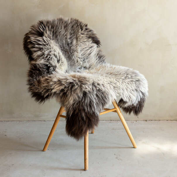 Van Buren seit 1861 Einzeln fotografiertes Schaffell Meliert XXL - 108x61 - SVV-716