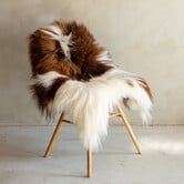 Einzeln fotografiertes isländisches Schaffell Braun Bunt - 113x82 - SVV-690