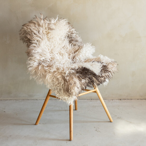 Van Buren seit 1861 Einzeln fotografiertes Locken-/Bergschaf-Schaffell - 108x70 - SVV-726