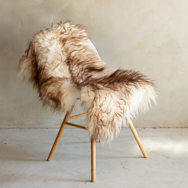 Van Buren seit 1861 Einzeln fotografiertes Mouflon-Schaffell GR S - 124x64 - SVV-679