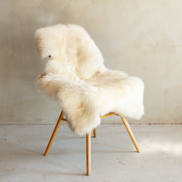 Van Buren seit 1861 Einzeln fotografiertes deutsches Schwarzkopf-Schaffell - 103x63 - SVV-701