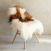 Einzeln fotografiertes isländisches Schaffell Braun Bunt - 116x74 - SVV-693