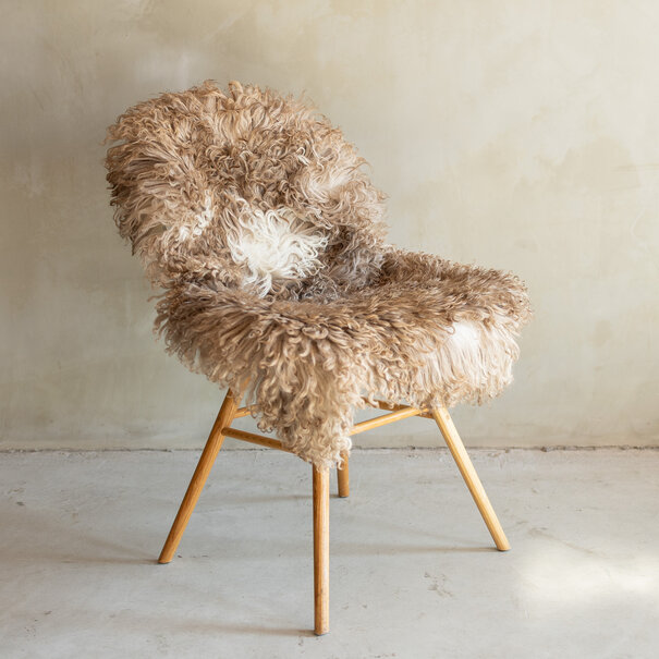 Van Buren seit 1861 Einzeln fotografiertes Locken-/Bergschaf-Schaffell - 106x60 - SVV-727