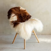 Einzeln fotografiertes isländisches Schaffell Braun Bunt - 122x78 - SVV-687