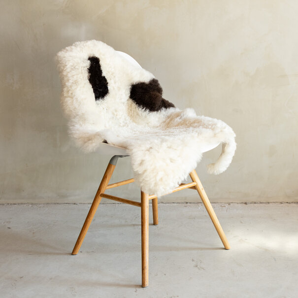 Van Buren seit 1861 Einzeln fotografiertes geschorenes isländisches Schaffell Bunt - 134x74 - SVV-703