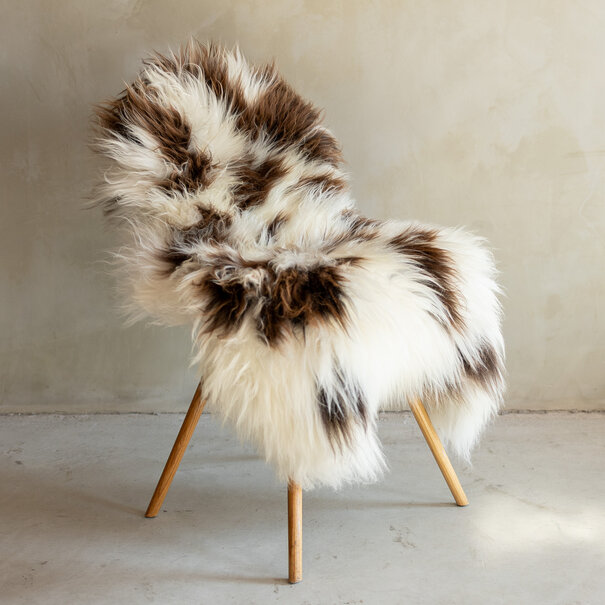 Van Buren seit 1861 Einzeln fotografiertes Schaffell Meliert XXL - 128x66 - SVV-722