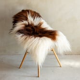 Einzeln fotografiertes isländisches Schaffell Braun Bunt - 119x78 - SVV-691