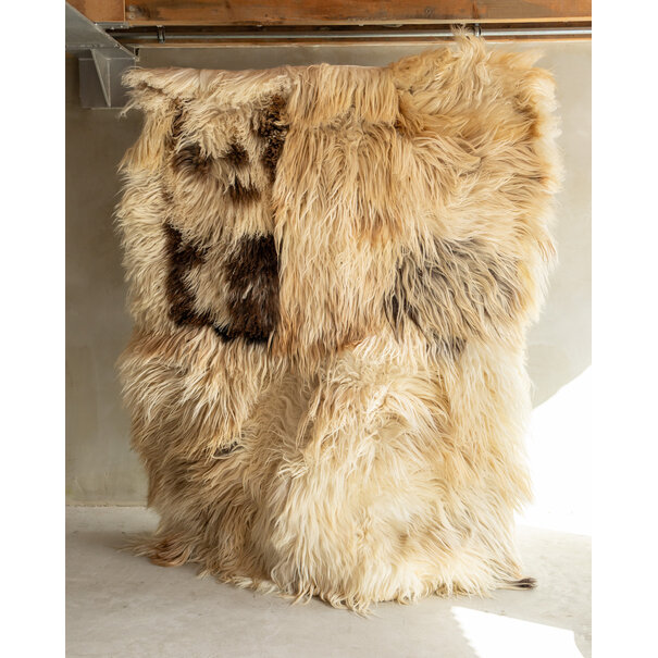 Van Buren seit 1861 Separat Fotografiert Schaffell Bodenteppich (Teppich) - Lockig/Bergschaf - 200x150 cm - SKK-200