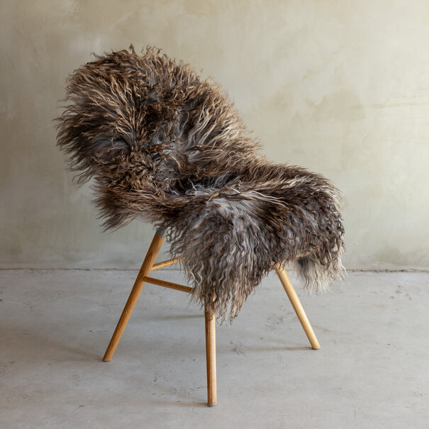 Van Buren seit 1861 Einzigartig fotografiertes Lockig/Bergschaf schaffell - ca. 108x65cm - SVV-855