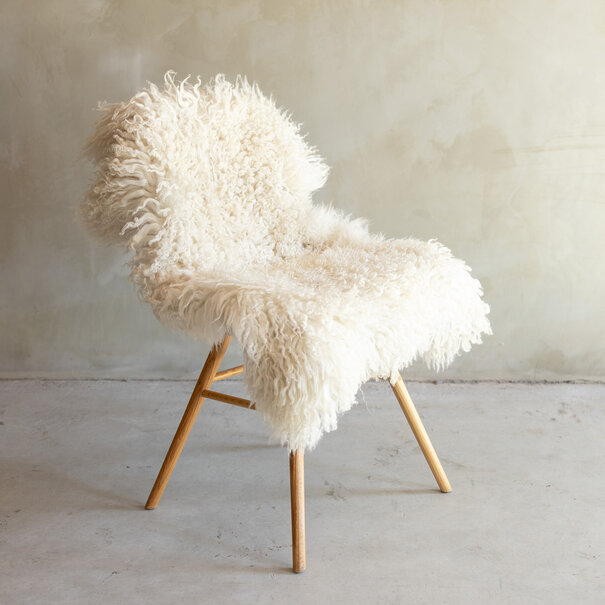 Van Buren seit 1861 Einzigartig fotografiertes Lockig/Bergschaf schaffell - ca. 108x66cm - SVV-857