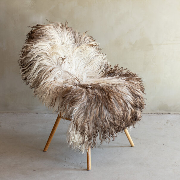 Van Buren seit 1861 Einzigartig fotografiertes Lockig/Bergschaf schaffell - ca. 114x74cm - SVV-841