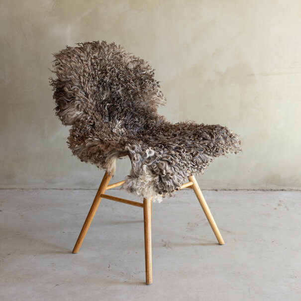 Van Buren seit 1861 Einzigartig fotografiertes Lockig/Bergschaf schaffell - ca. 100x58cm - SVV-877