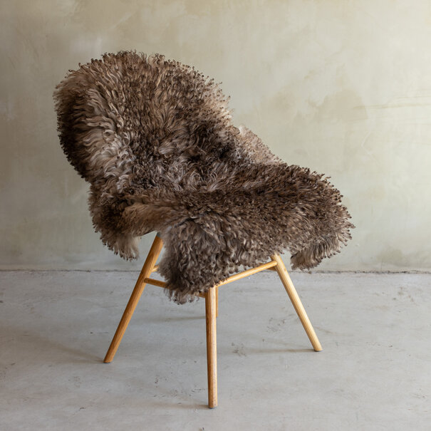 Van Buren seit 1861 Einzigartig fotografiertes Lockig/Bergschaf schaffell - ca. 100x70cm - SVV-832