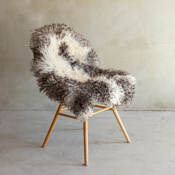 Van Buren seit 1861 Einzigartig fotografiertes Lockig/Bergschaf schaffell - ca. 100x65cm - SVV-843