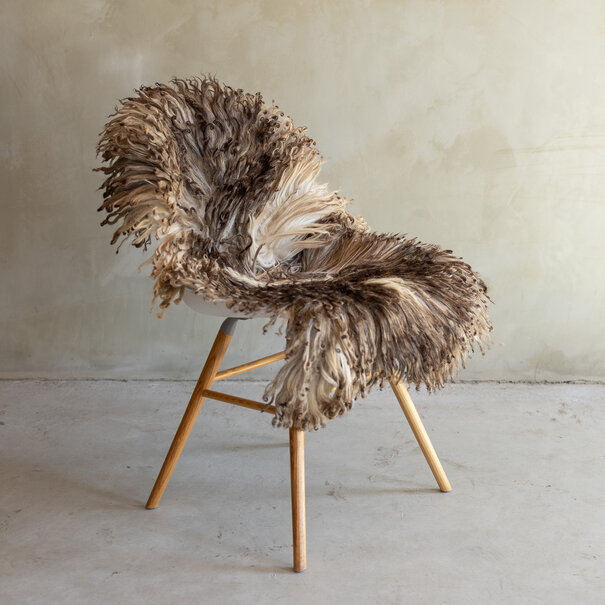 Van Buren seit 1861 Einzigartig fotografiertes Lockig/Bergschaf schaffell - ca. 114x58cm - SVV-876