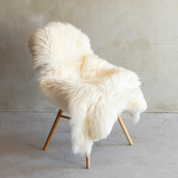 Van Buren seit 1861 Einzigartig fotografiertes Heideschaf schaffell XXL - ca. 130x75cm - SVV-792