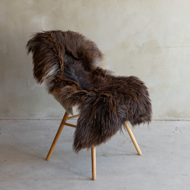 Van Buren seit 1861 Einzigartig fotografiertes Heideschaf schaffell XXL - ca. 116x70cm - SVV-793