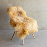 Einzigartig fotografiertes Heideschaf schaffell XXL - ca. 120x74cm - SVV-802