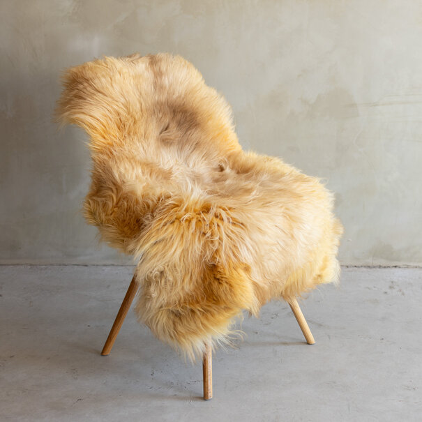 Van Buren seit 1861 Einzigartig fotografiertes Heideschaf schaffell XXL - ca. 120x74cm - SVV-802