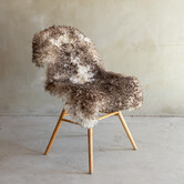 Einzigartig fotografiertes Lockig/Bergschaf schaffell - ca. 95x60cm - SVV-878