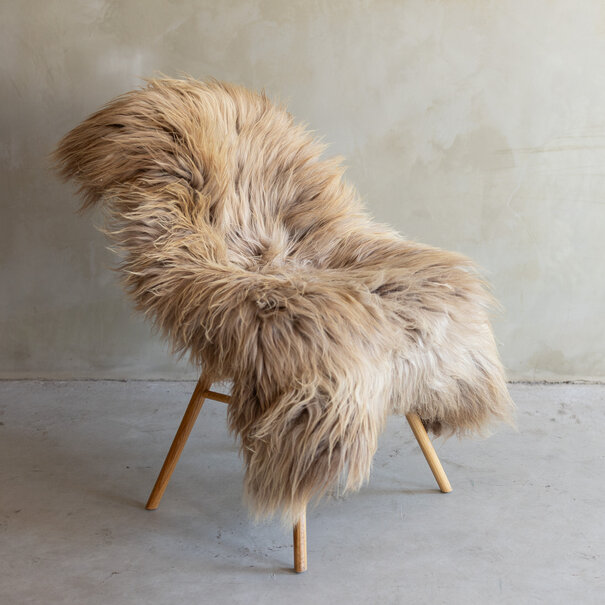 Van Buren seit 1861 Einzigartig fotografiertes Heideschaf schaffell XXL - ca. 118x83cm - SVV-790