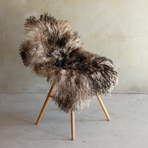 Van Buren seit 1861 Einzigartig fotografiertes Lockig/Bergschaf schaffell - ca. 106x73cm - SVV-834