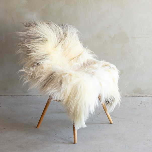 Van Buren seit 1861 Einzigartig fotografiertes Heideschaf schaffell XXL - ca. 118x75cm - SVV-782