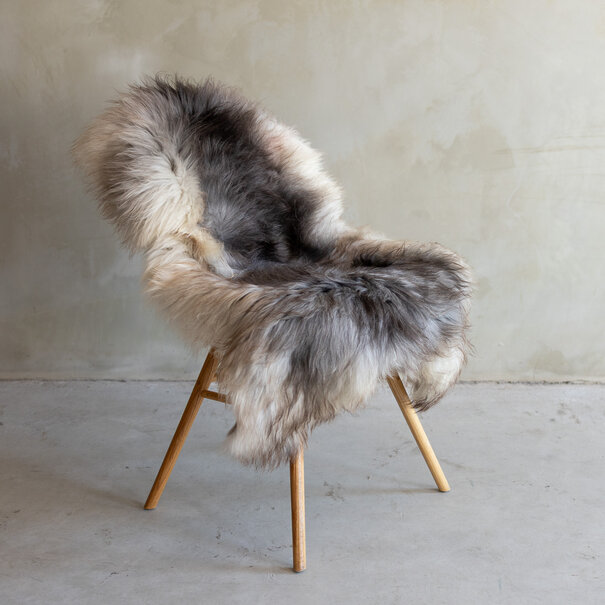 Van Buren seit 1861 Einzigartig fotografiertes Heideschaf schaffell XXL - ca. 128x72cm - SVV-783