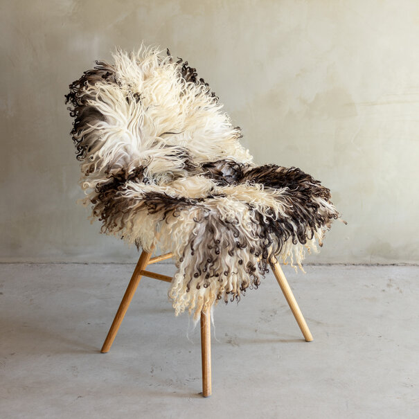 Van Buren seit 1861 Einzigartig fotografiertes Lockig/Bergschaf schaffell - ca. 109x68cm - SVV-845