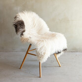 Einzigartig fotografiertes Lockig/Bergschaf schaffell - ca. 115x68cm - SVV-863