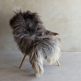 Einzigartig fotografiertes Heideschaf schaffell XXL - ca. 150x75cm - SVV-777