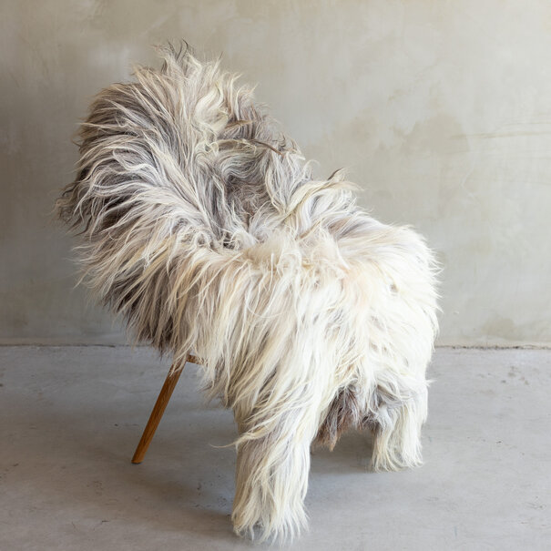 Van Buren seit 1861 Einzigartig fotografiertes Heideschaf schaffell XXL - ca. 140x75cm - SVV-781