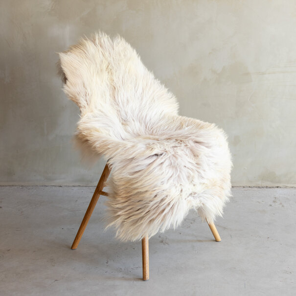 Van Buren seit 1861 Einzigartig fotografiertes Heideschaf schaffell XXL - ca. 121x62cm - SVV-822