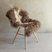 Einzigartig fotografiertes Lockig/Bergschaf schaffell - ca. 105x66cm - SVV-860