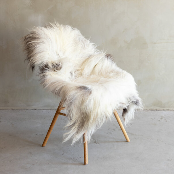 Van Buren seit 1861 Einzigartig fotografiertes Heideschaf schaffell XXL - ca. 125x75cm - SVV-815