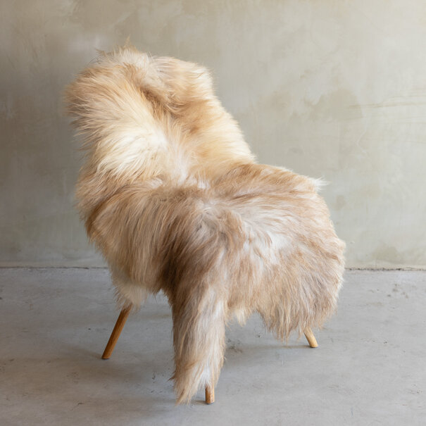 Van Buren seit 1861 Einzigartig fotografiertes Heideschaf schaffell XXL - ca. 120x75cm - SVV-819