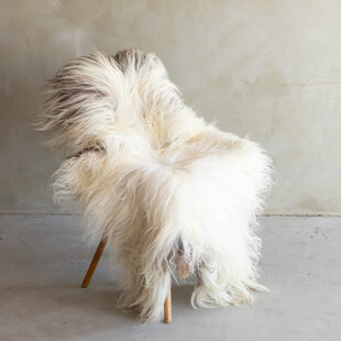 Unikat Heideschaf Schaffell XXL - SVV-826