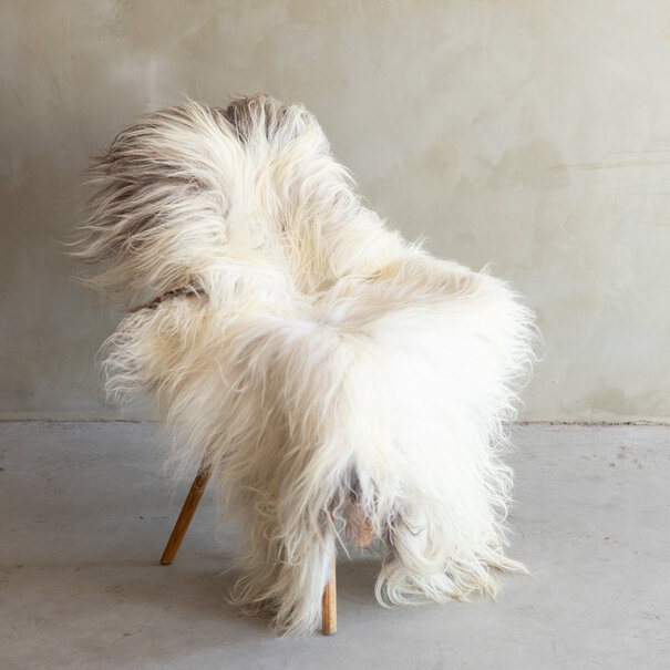 Van Buren seit 1861 Einzigartig fotografiertes Heideschaf schaffell XXL - ca. 124x70cm - SVV-826