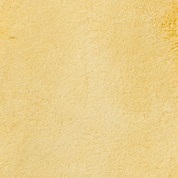 Van Buren seit 1861 Medizinische Unterdecke in 190x90cm & 160x90cm
