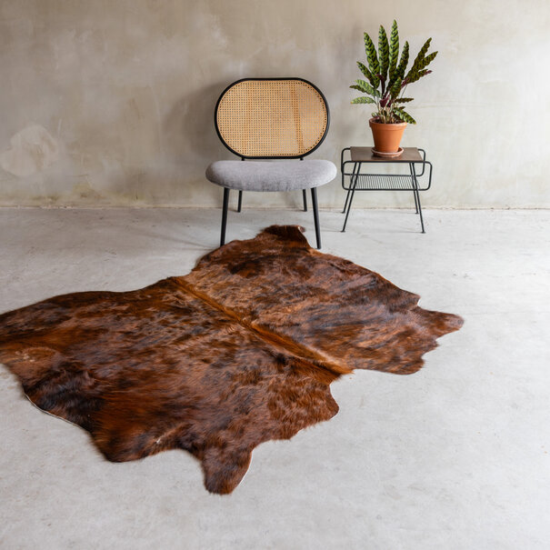 Van Buren seit 1861 Einzeln fotografiertes gemischtes Kuhfell KH-083 mit einer Größe von ca 160x180 cm (2-3m²)