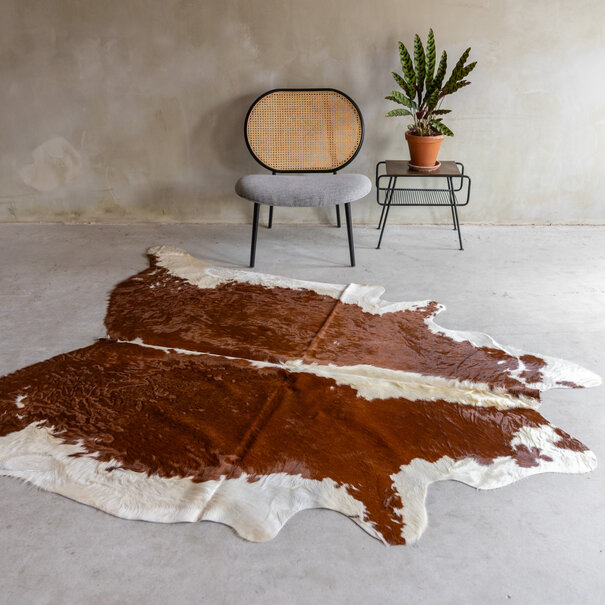 Van Buren seit 1861 Einzeln fotografiertes rotbuntes Kuhfell KH-074 mit einer Größe von ca 230x183 cm (3-4m²)