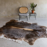 Einzeln fotografiertes champagnefarbenes Kuhfell KH-061 mit einer Größe von ca 244x188 cm (3-4m²)