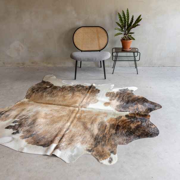 Van Buren seit 1861 Einzeln fotografiertes exotisches Kuhfell KH-065 mit einer Größe von ca 223x185 cm (3-4m²)