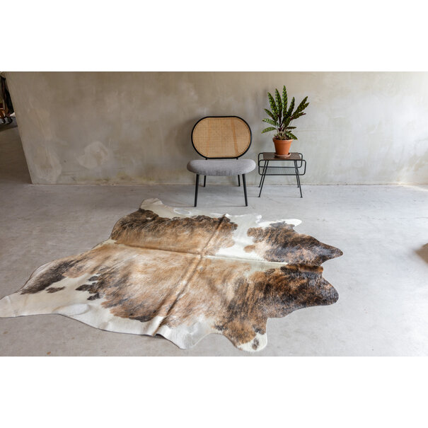 Van Buren seit 1861 Einzeln fotografiertes exotisches Kuhfell KH-065 mit einer Größe von ca 223x185 cm (3-4m²)